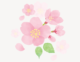 桜